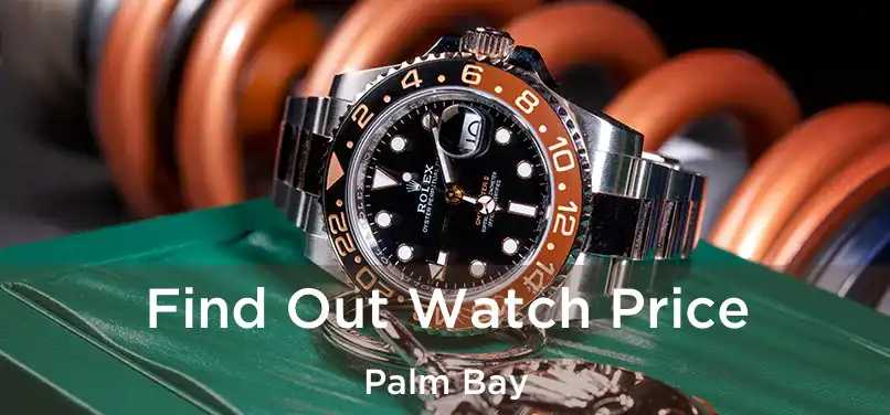  Find Out Watch Price Palm Bay