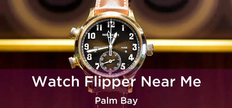  Watch Flipper Near Me Palm Bay